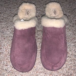Ugg clogs